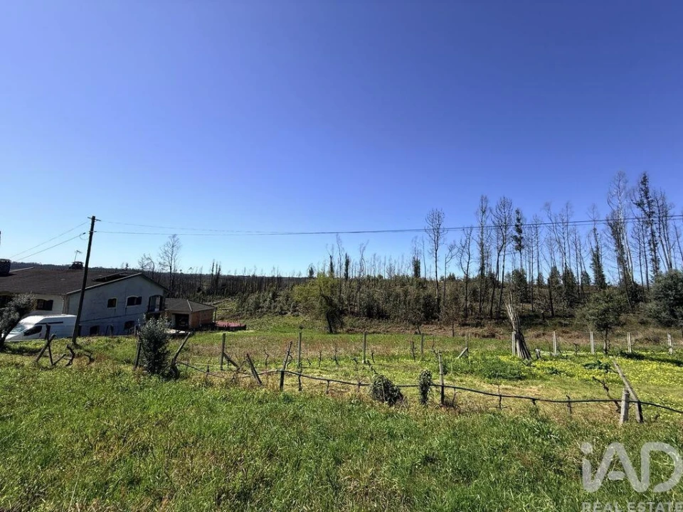 Terreno para Venda em Macinhata do Vouga Foto 10