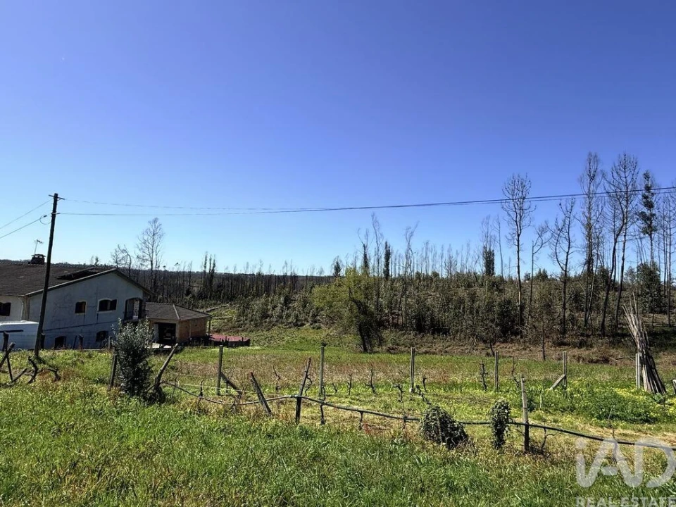 Terreno para Venda em Macinhata do Vouga Foto 9