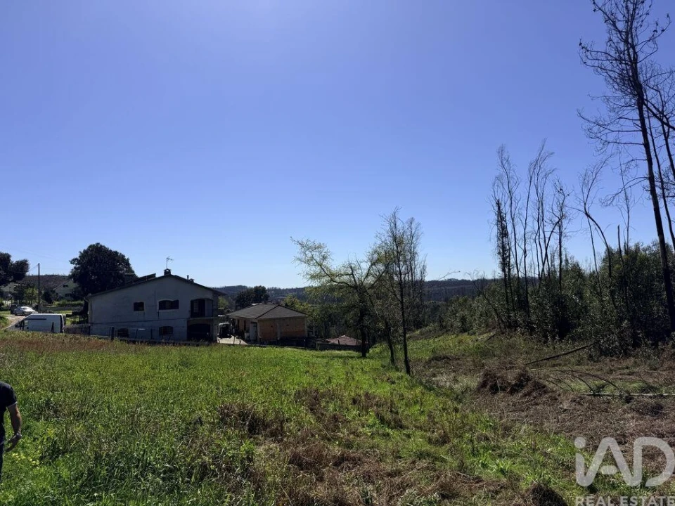 Terreno para Venda em Macinhata do Vouga Foto 8