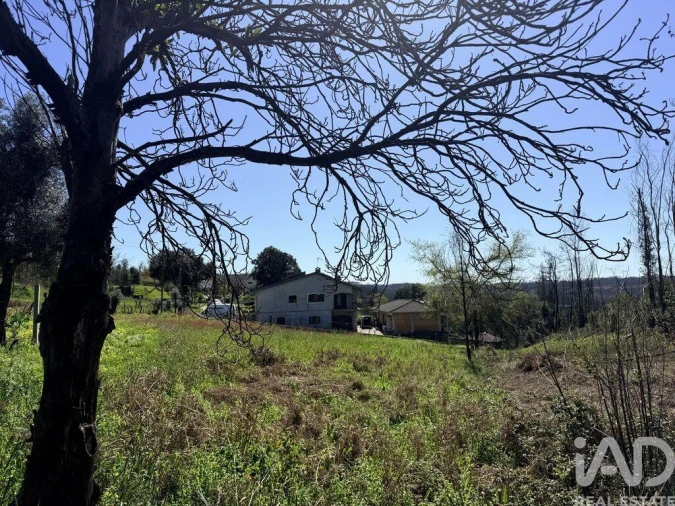 Terreno para Venda em Macinhata do Vouga Foto 11