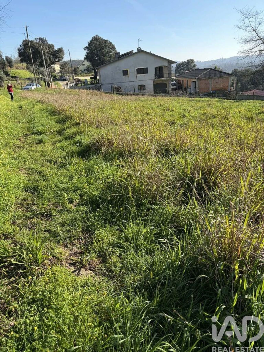 Terreno para Venda em Macinhata do Vouga Foto 6