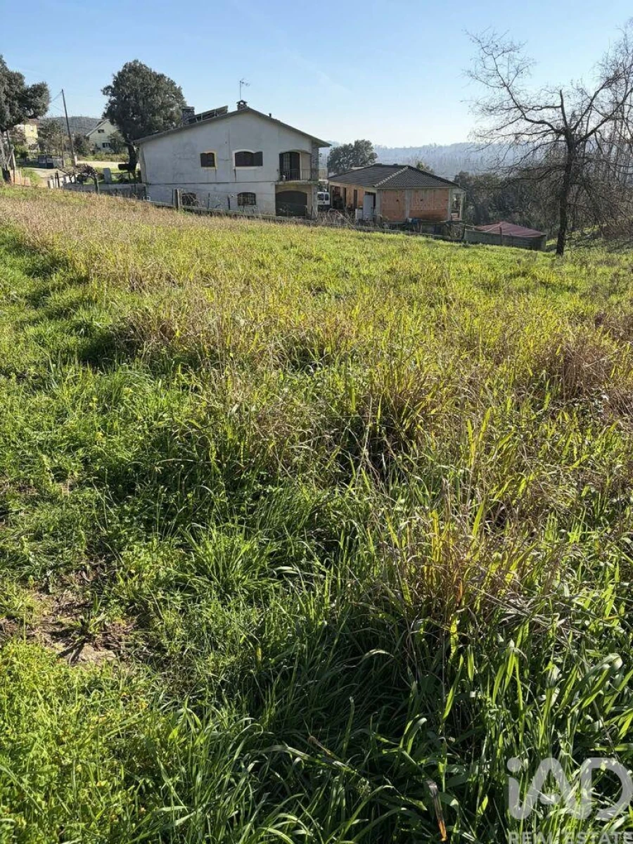 Terreno para Venda em Macinhata do Vouga Foto 7