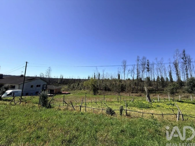 Terreno para Venda em Macinhata do Vouga Foto 10