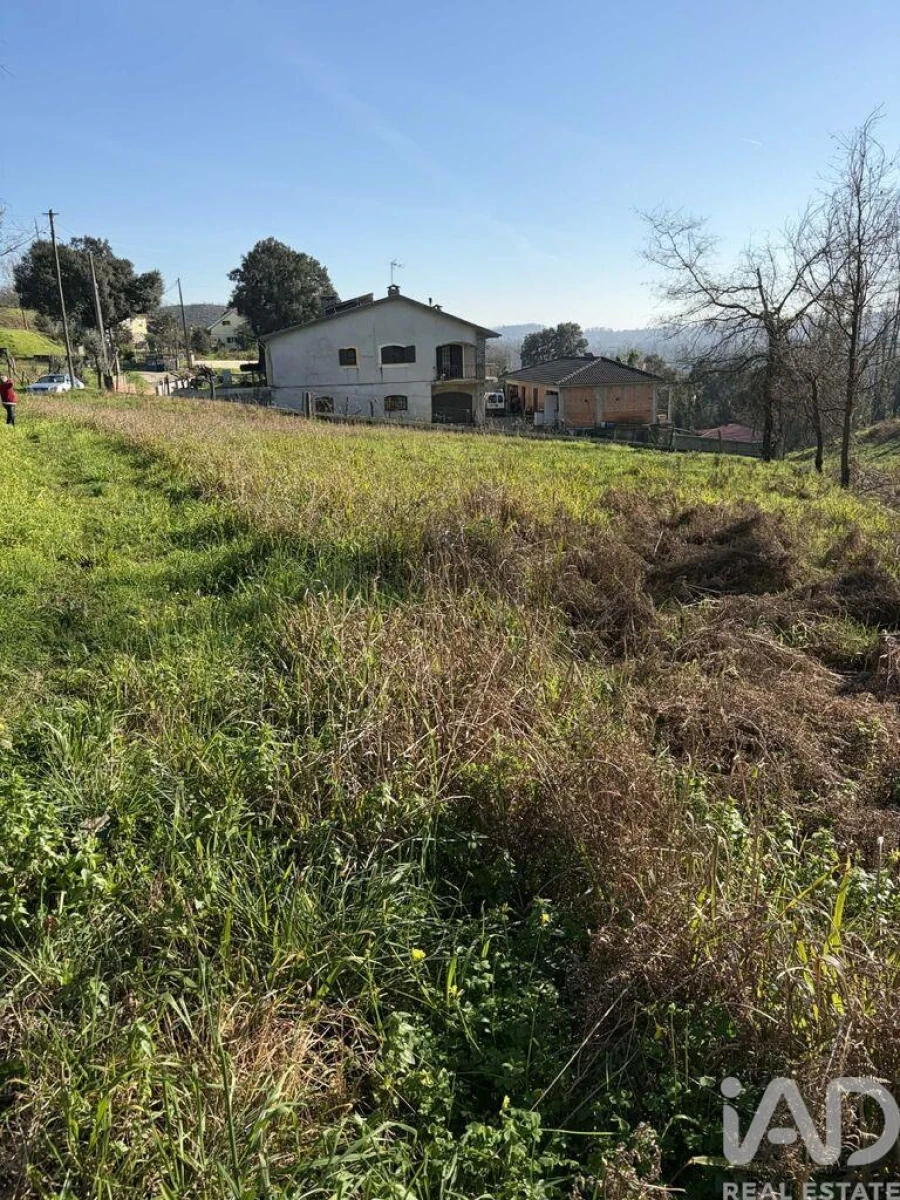 Terreno para Venda em Macinhata do Vouga Foto 3