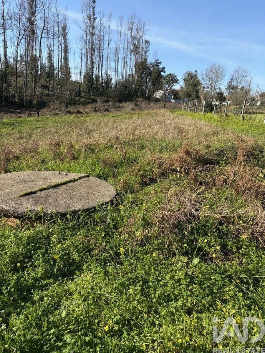 Terreno para Venda em Macinhata do Vouga Foto 4