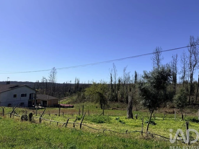 Terreno para Venda em Macinhata do Vouga Foto 1