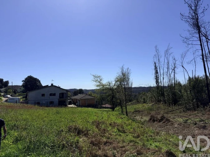 Terreno para Venda em Macinhata do Vouga Foto 8