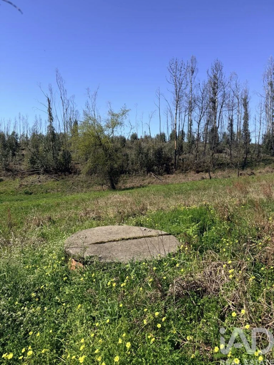 Terreno para Venda em Macinhata do Vouga Foto 2