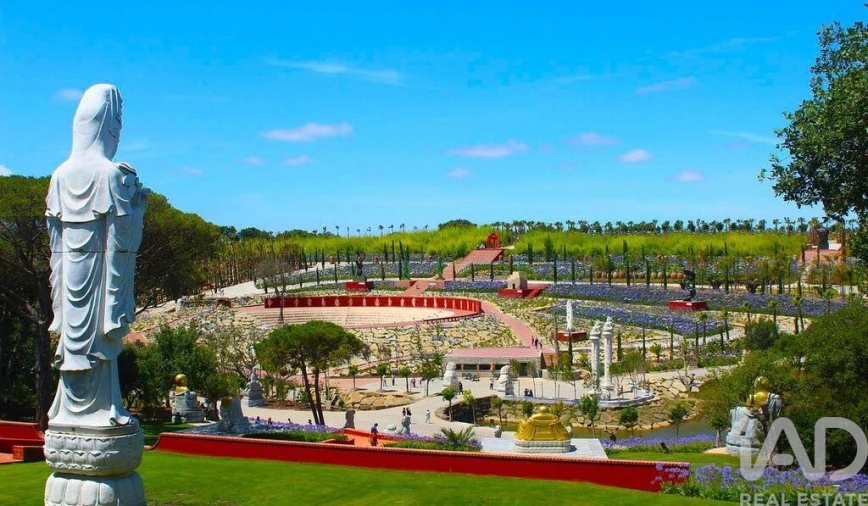 Terreno para Venda em Bombarral e Vale Covo Foto 10