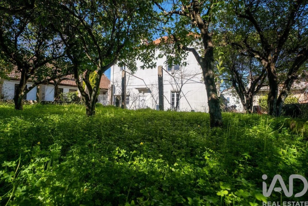 Moradia T5 para Venda em Ervedal e Vila Franca da Beira Foto 30