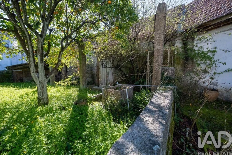 Moradia T5 para Venda em Ervedal e Vila Franca da Beira Foto 6