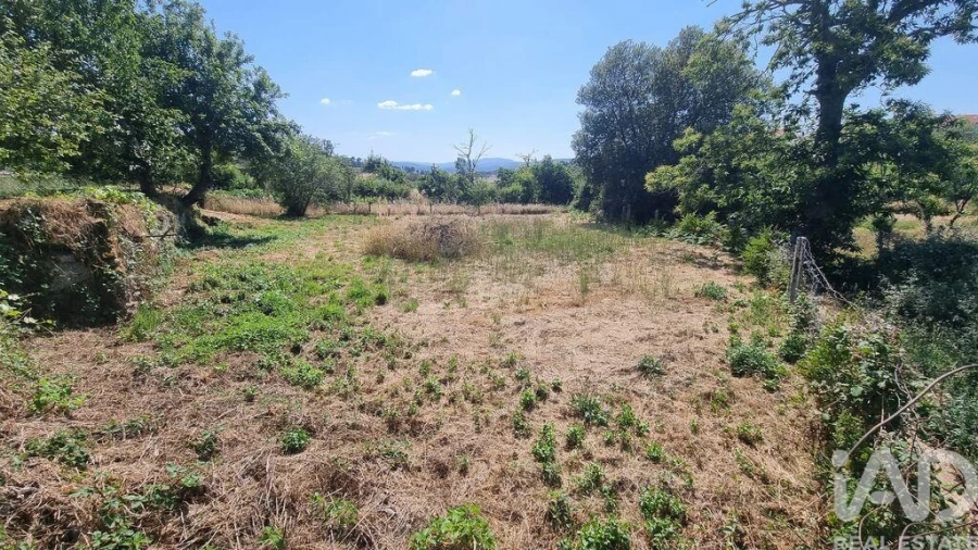 Moradia T3 para Venda em Avelãs de Ambom e Rocamondo Foto 20