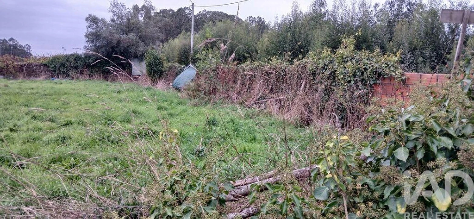 Terreno para Venda em Fonte Boa e Rio Tinto Foto 19