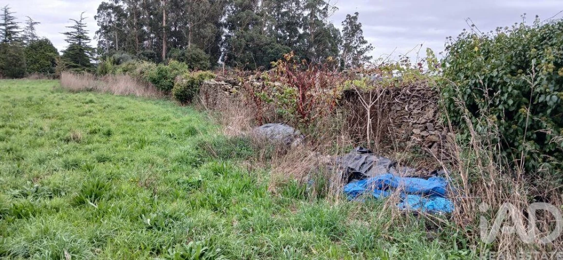 Terreno para Venda em Fonte Boa e Rio Tinto Foto 10