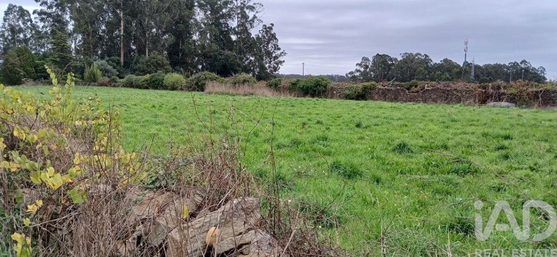 Terreno para Venda em Fonte Boa e Rio Tinto Foto 23