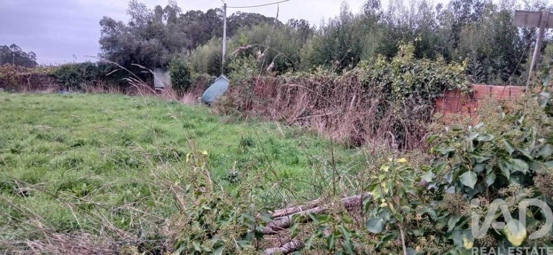 Terreno para Venda em Fonte Boa e Rio Tinto Foto 19