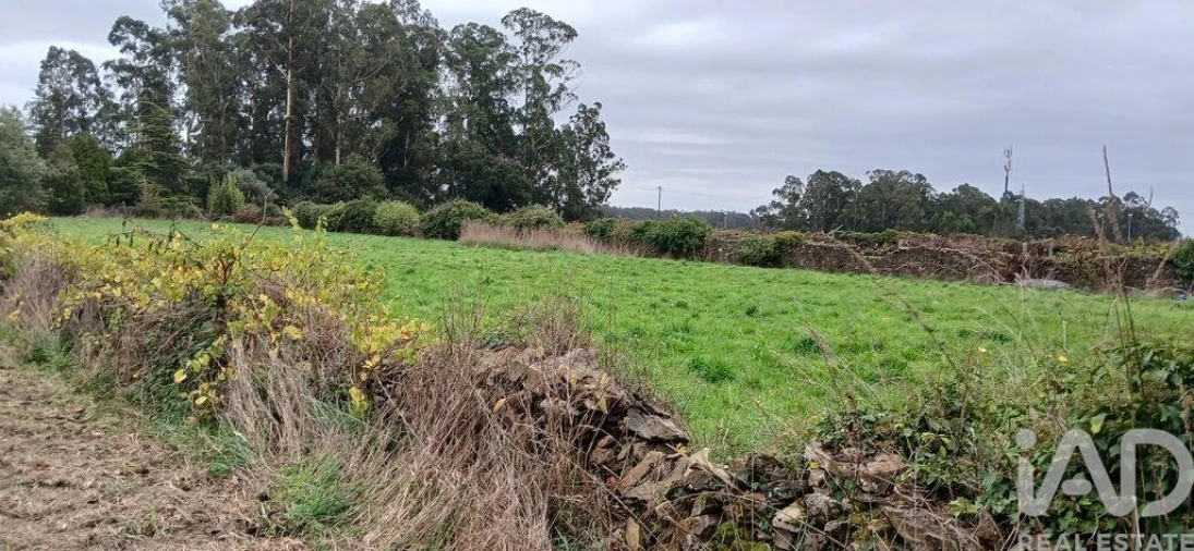 Terreno para Venda em Fonte Boa e Rio Tinto Foto 16
