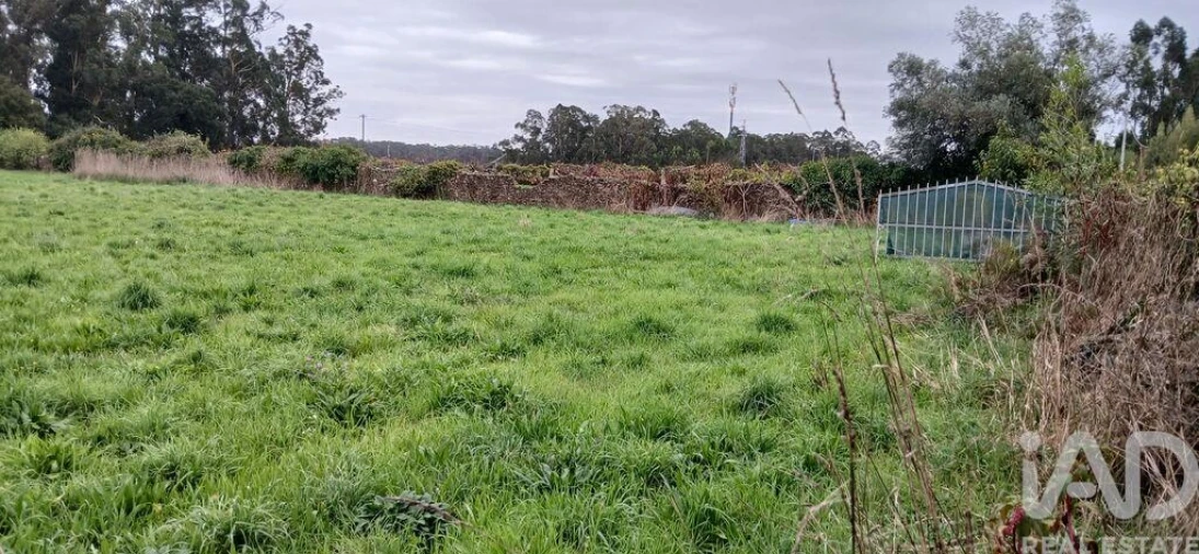 Terreno para Venda em Fonte Boa e Rio Tinto Foto 34