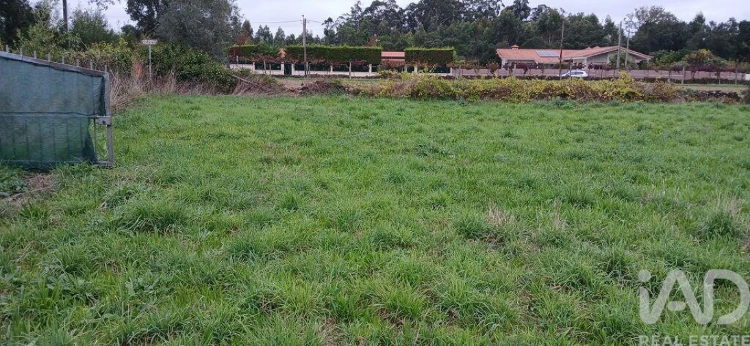 Terreno para Venda em Fonte Boa e Rio Tinto Foto 12