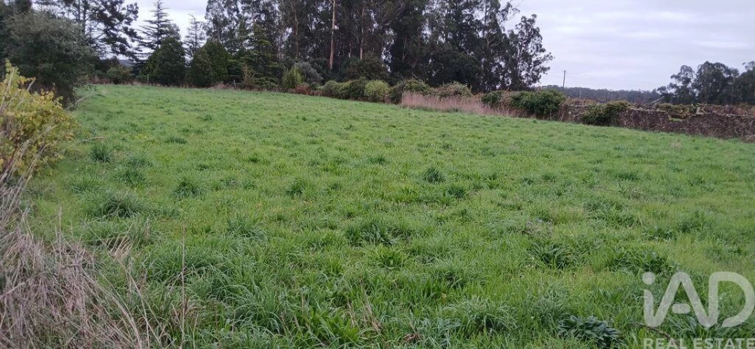 Terreno para Venda em Fonte Boa e Rio Tinto Foto 33