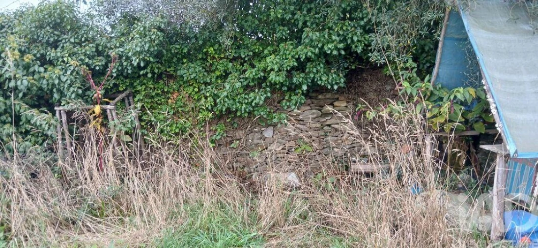 Terreno para Venda em Fonte Boa e Rio Tinto Foto 9