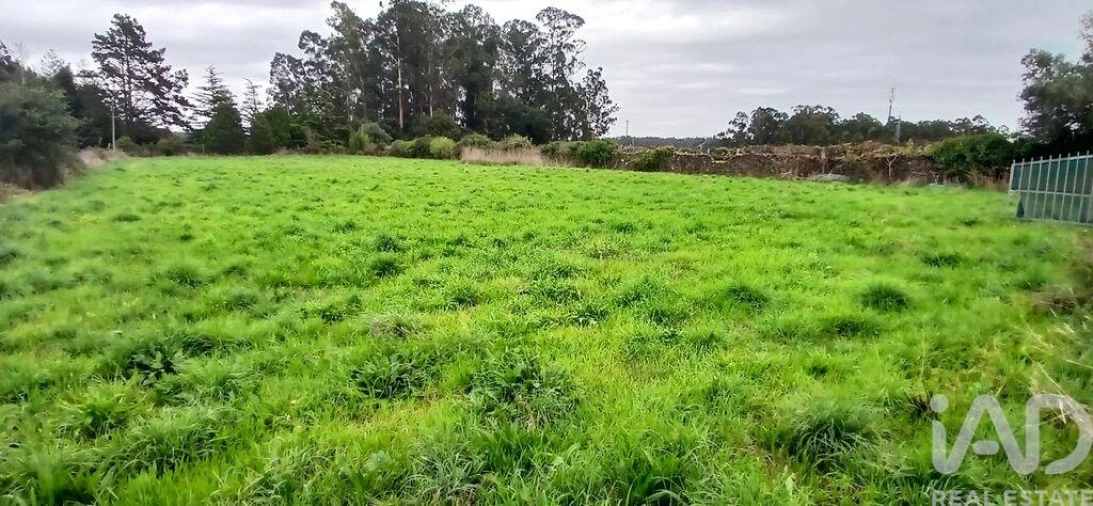 Terreno para Venda em Fonte Boa e Rio Tinto Foto 7