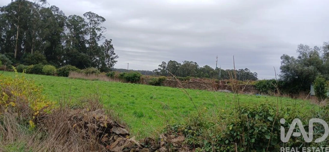Terreno para Venda em Fonte Boa e Rio Tinto Foto 15