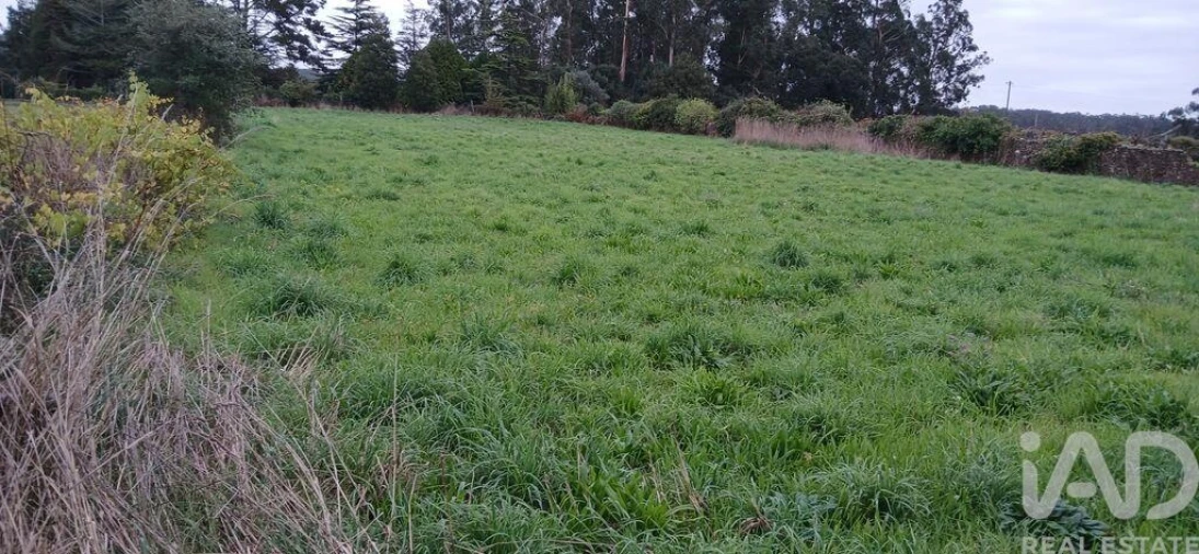 Terreno para Venda em Fonte Boa e Rio Tinto Foto 5