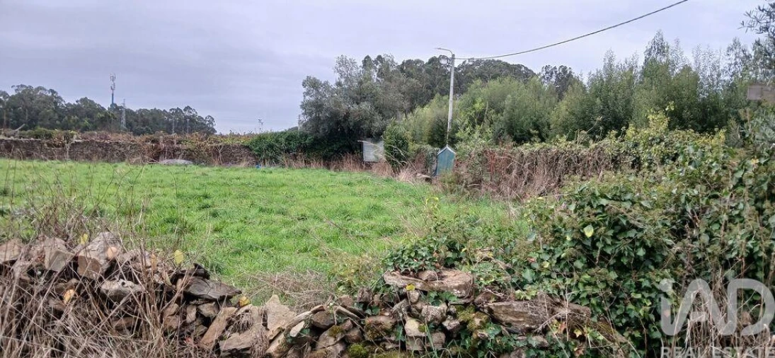 Terreno para Venda em Fonte Boa e Rio Tinto Foto 17