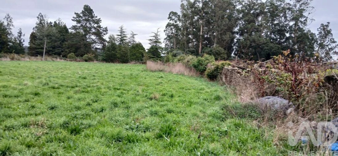 Terreno para Venda em Fonte Boa e Rio Tinto Foto 14
