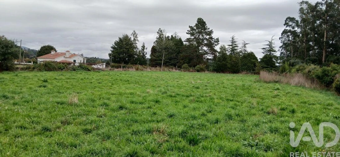Terreno para Venda em Fonte Boa e Rio Tinto Foto 13