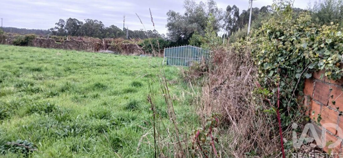 Terreno para Venda em Fonte Boa e Rio Tinto Foto 8