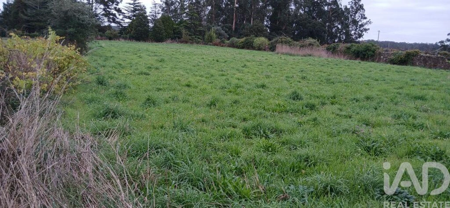 Terreno para Venda em Fonte Boa e Rio Tinto Foto 5