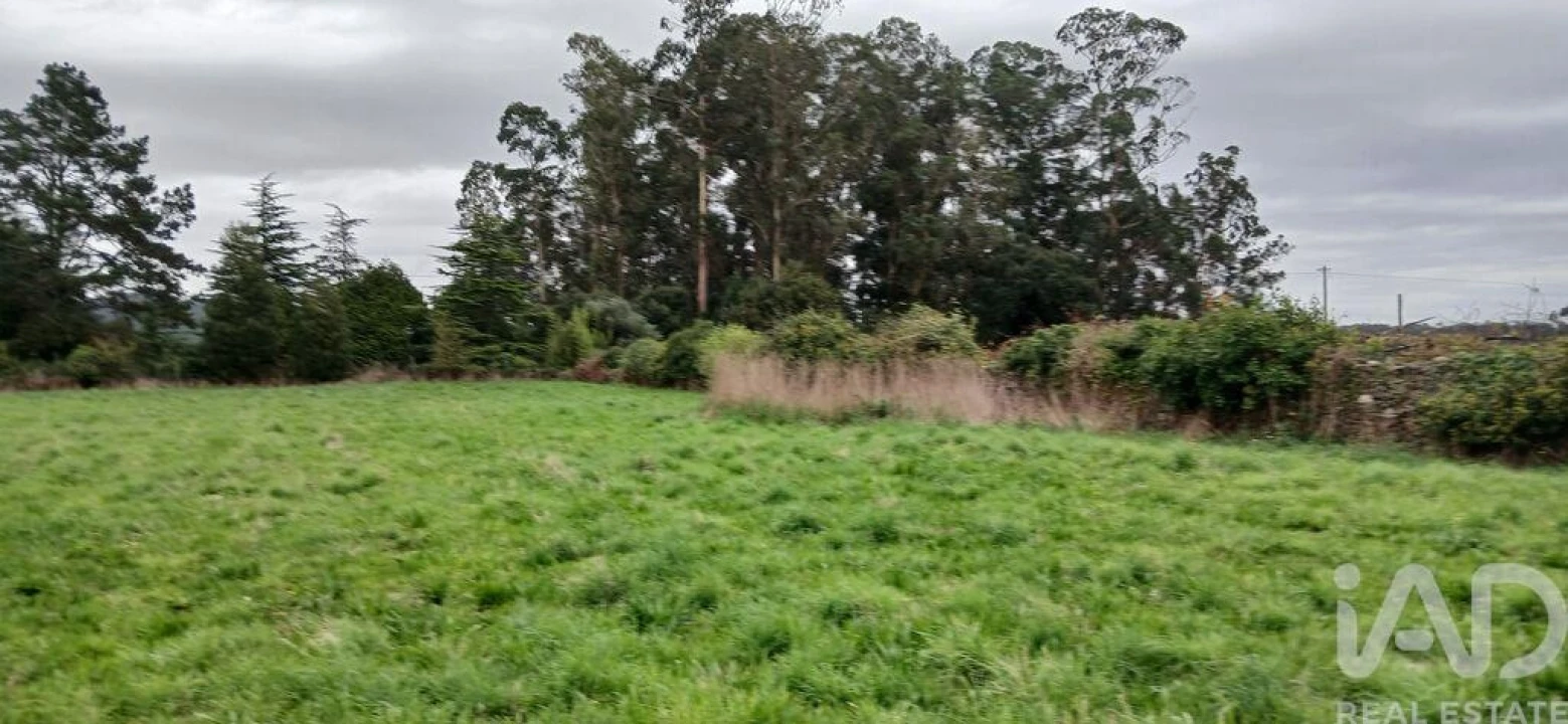 Terreno para Venda em Fonte Boa e Rio Tinto Foto 11