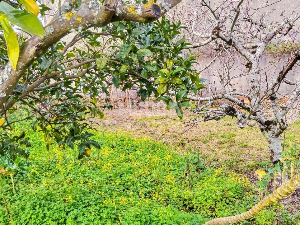 Moradia T2 para Venda em A dos Negros Foto 4