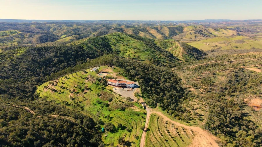 Quinta T10 para Venda em Saboia Foto 2