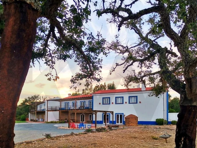 Quinta T10 para Venda em Saboia Foto 5