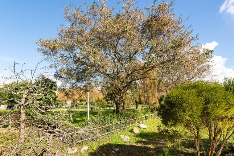 Apartamento T2 para Venda em Cascais e Estoril Foto 21
