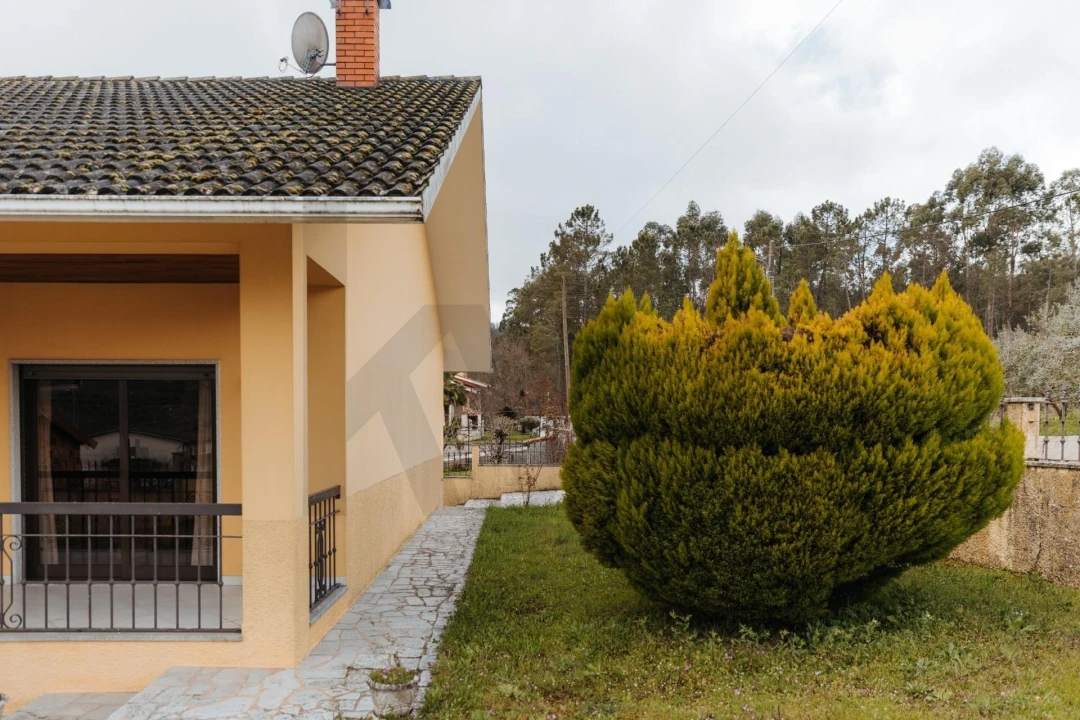 Moradia T3 para Venda em Mamouros, Alva e Ribolhos Foto 49