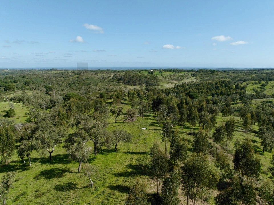 Terreno para Venda em Grândola e Santa Margarida da Serra Foto 24