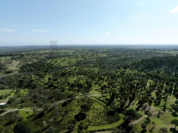 Terreno para Venda em Grândola e Santa Margarida da Serra