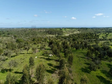 Terreno para Venda em Grândola e Santa Margarida da Serra