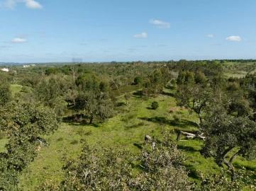 Terreno para Venda em Grândola e Santa Margarida da Serra
