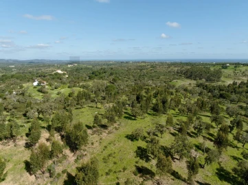 Terreno para Venda em Grândola e Santa Margarida da Serra