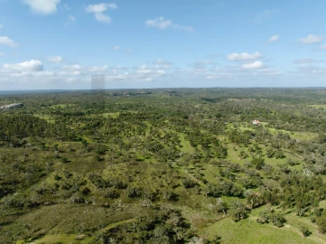 Terreno para Venda em Grândola e Santa Margarida da Serra