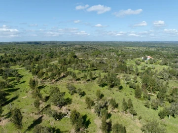 Terreno para Venda em Grândola e Santa Margarida da Serra