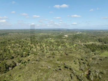 Terreno para Venda em Grândola e Santa Margarida da Serra