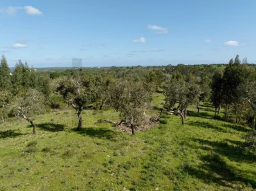 Terreno para Venda em Grândola e Santa Margarida da Serra