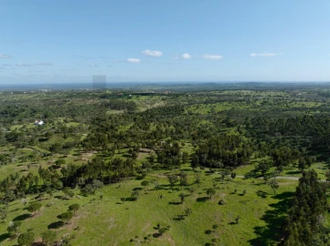Terreno para Venda em Grândola e Santa Margarida da Serra