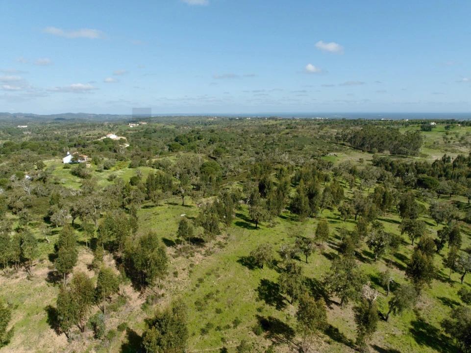 Terreno para Venda em Grândola e Santa Margarida da Serra Foto 21